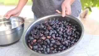 They are called Cretan  (raisin_) olives