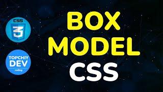 Блочная модель CSS || Box Model CSS || Full CSS course