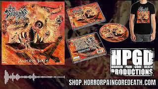 To Descend - "Parasitic Vision" (HPGD Productions)