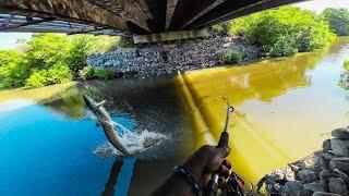 Hooked a Giant Fish Under the Bridge! "