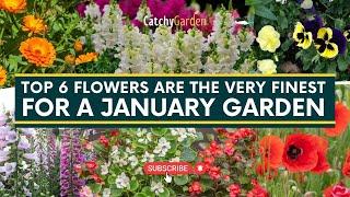 These 6 Flowers Are The Very Finest For A January Garden  // Gardening Tips