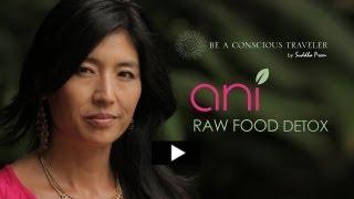 ANI PHYO | RAW FOOD DETOX