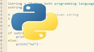 Python live streaming 10 hours part 150