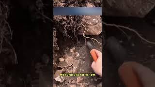 Нашли древнее РУССКОЕ золото в Турции! #shortvideo  #новостисегодня #новости #история #коп
