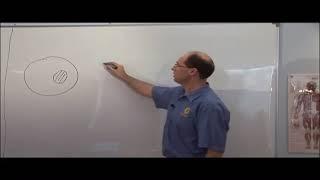 Paul Turner - Practical Definition Health & Disease