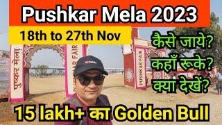 Pushkar Mela 2023 - Pushkar camel fair 2023 – पुष्कर मेला 2023 – Pushkar fair 2023