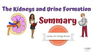 Kidneys and Urine Formation-Leaving Cert Biology 2025-Biology Bugbears