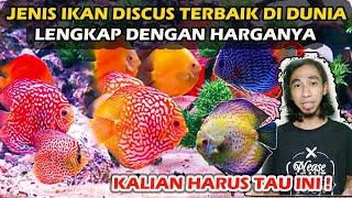 JENIS IKAN DISCUS DAN HARGANYA | PECINTA IKAN HIAS HARUS TAU !