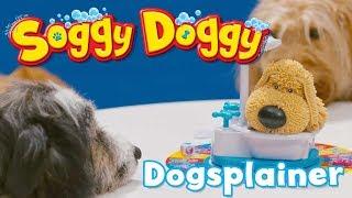 Soggy Doggy - Pups Explain How To Play Soggy Doggy