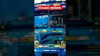 එයාගෙ ලස්සන #capcut #trending #automobile #trendingshorts