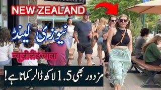 Travel To New Zealand | History Documentary in Urdu & Hindi | Spider Tv | New Zealand Ki Sair