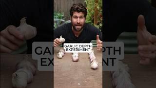  FACT or FICTION: The best depth to plant garlic at is ACTUALLY 7" Deep?