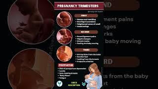 Pregnancy Symptoms Trimester Wise | 1st to 3rd Trimester & Postpartum Changes | Pregnancy Guide