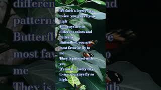 Butterfly   @VERSE VIBES
