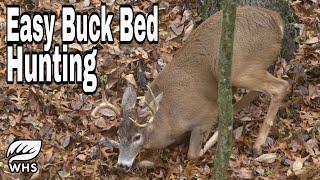 Locate Buck Beds In 5 Easy Steps