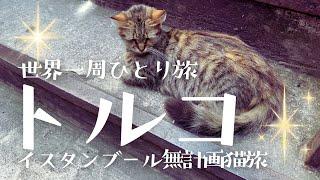 【トルコ旅行】イスタンブールは猫天国だった！/寅さん的風まかせ/時差ボケ不眠の旅