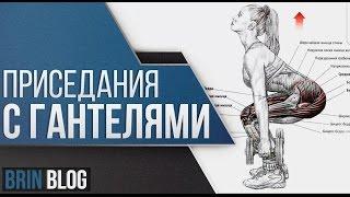 Приседания с гантелями / Техника выполнения / Ярослав Брин / Squats with dumbbells / Как приседать