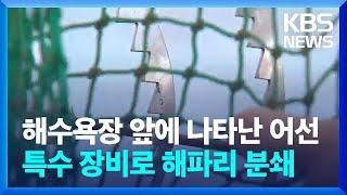 해수욕장 앞에 나타난 어선…특수 장비로 해파리 분쇄 / KBS  2024.07.29.