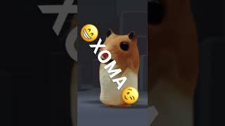 я іду геть #рек #рекомендации #roblox #роблокс #trend #cute  #hamster