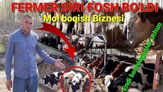 Mol Boqish Sirni Fermer fosh qildi barcha ko'rsin