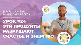 УРОК #24 | ЭТИ ПРОДУКТЫ РАЗРУШАЮТ СЧАСТЬЕ И ЭНЕРГИЮ | ВИПАССАНА-РЕТРИТ НА БАЛИ 2023