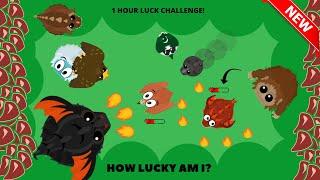 MOPE.IO 1 HOUR LUCK CHALLENGE! RARE ANIMALS CHALLENGE! How Lucky Am I?