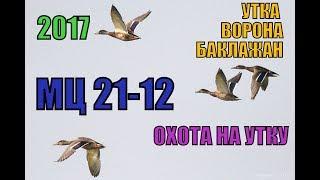 Утки, вороны, баклажаны. Охота на утку с мц 21-12 осень 2017