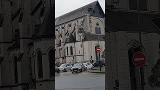 Elise Saint-Paterne  Orleans
