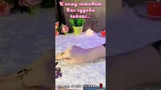 К ЧЕМУ ВАС ГОТОВИТ СУДЬБА #таро #отношения #егочувства #суженый #будущиймуж #мужчинанапороге