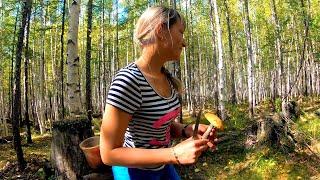 Девушка из Николаевска-на-Амуре приехала в лес за грибами / Girl in the autumn forest