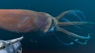 HUNTING THE GIANT SQUID!!! - Stranded Deep | Boss Hunt