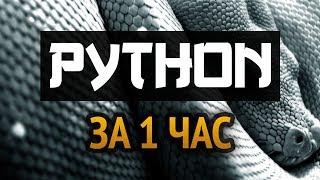 Учим Python за 1 час! #От Профессионала