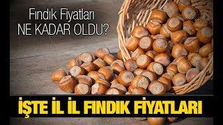 İşte İl İl Fındık Fiyatları