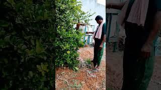 #my brother #trending #2024#shorts video (Swathi)