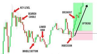 The ONLY Technical Analysis Video You Will EVER NEED!!!