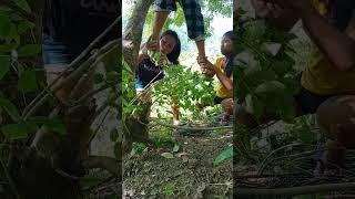 Maling akala #khemyattv #funny #comedyclips #justforfun #comedyvideos #justlaughtrip #funnyvideos