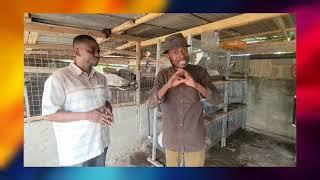 Original Bola Presents: The man who owns the largest farm Africa 