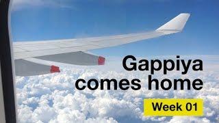 Gappiya Comes Home - Week 1