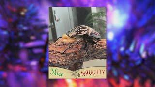 ABQ BioPark names more animals to the naughty or nice list