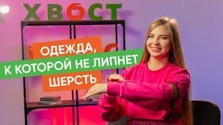 Умеют ли собаки дружить и другие новости "Хвост Ньюс" #129