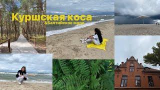 Куршская коса | Kaliningrad | VLOG - Балтийское море & Куршский залив