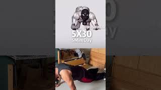 5x30 5 Min a day Ab workout#5x30 #memes #abs #sigma
