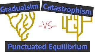 Process of Evolution | Gradualism vs Punctuated Equilibrium vs Catastrophism