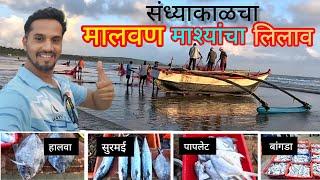 संध्याकाळचा मालवण येथील माश्यांचा लिलाव!Malvan fish Market|Malvan fish Auction|#malvan#sindhudurg