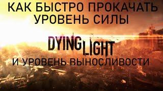 DYING LIGHT КАК БЫСТРО ПРОКАЧАТЬ СИЛУ И ВЫНОСЛИВОСТЬ В 2023 ГОДУ?