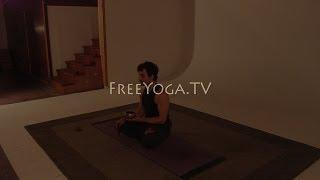 Full hr Intermediate Hatha Yoga Class, w/ Stephen founder of FreeYoga.TV