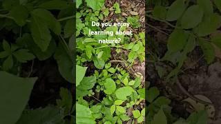 Check out my nature education channel for mini-documentaries about nature just outside your door!