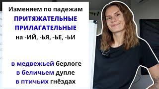 Урок 6. Как склонять притяжательные прилагательные на -ИЙ, -ЬЯ, -ЬЕ, -ЬИ?