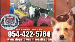 Dogstown University 30 second campus tour for boarding and daycare
