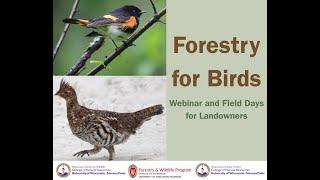 Forestry for Birds Webinar for Landowners